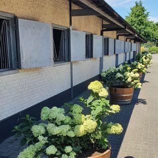 Luxe Gastenkamer Met Living En Keuken Bij Friezen Paarden Stal Pellendijk Westendorp ภายนอก รูปภาพ